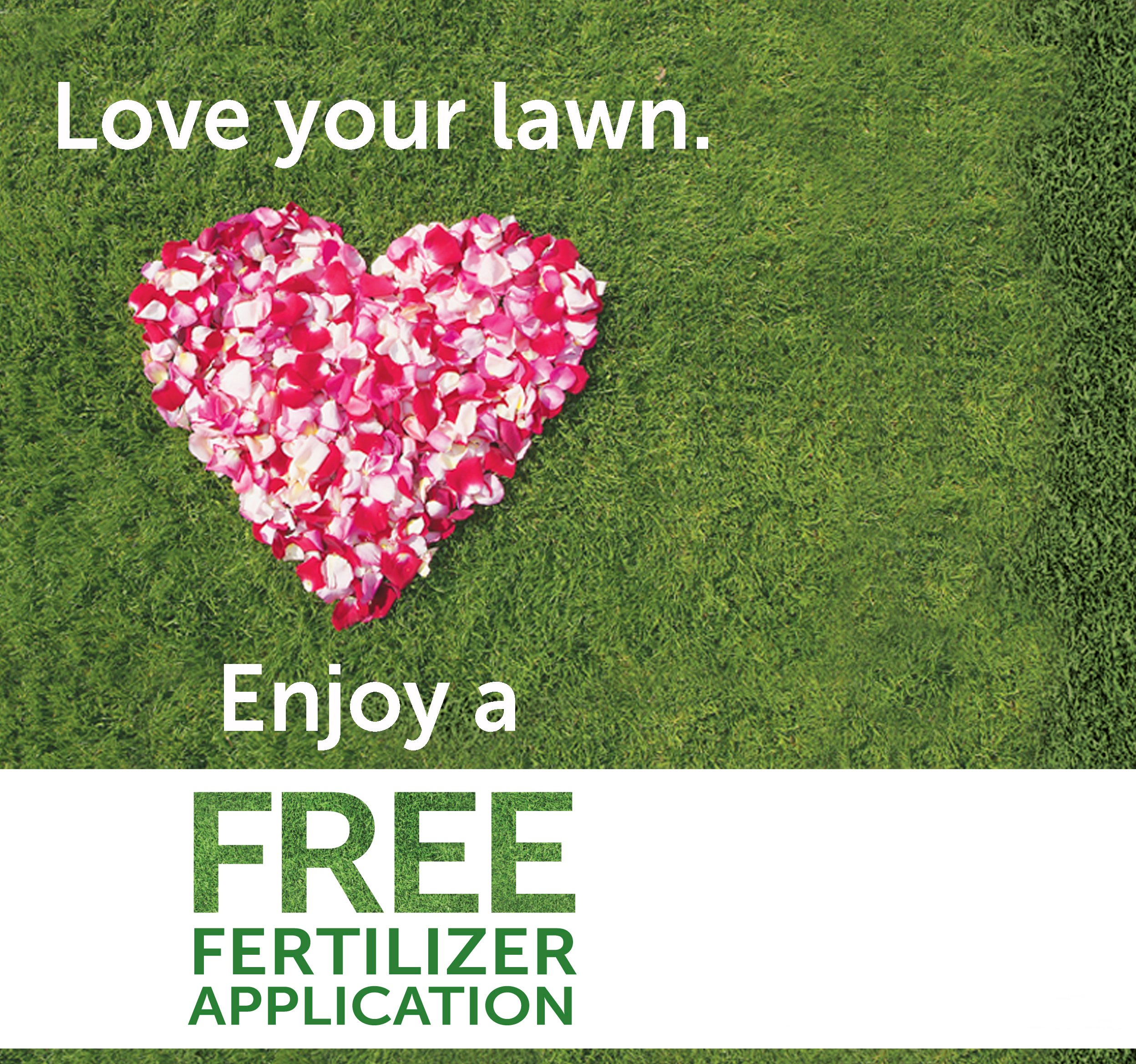 Toronto Lawn Care